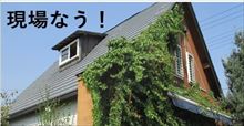 現場なう